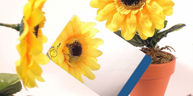 Plastic Business Card